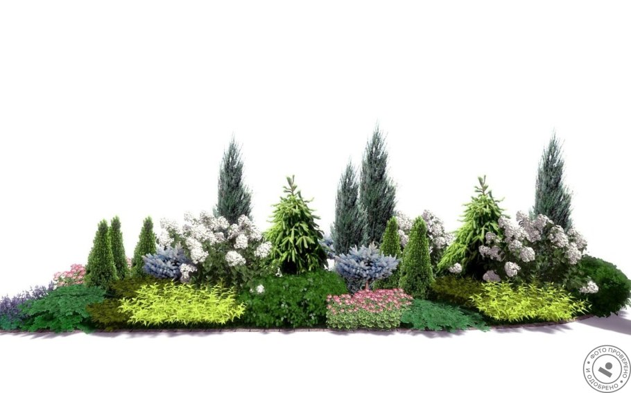 Хвойный миксбордер