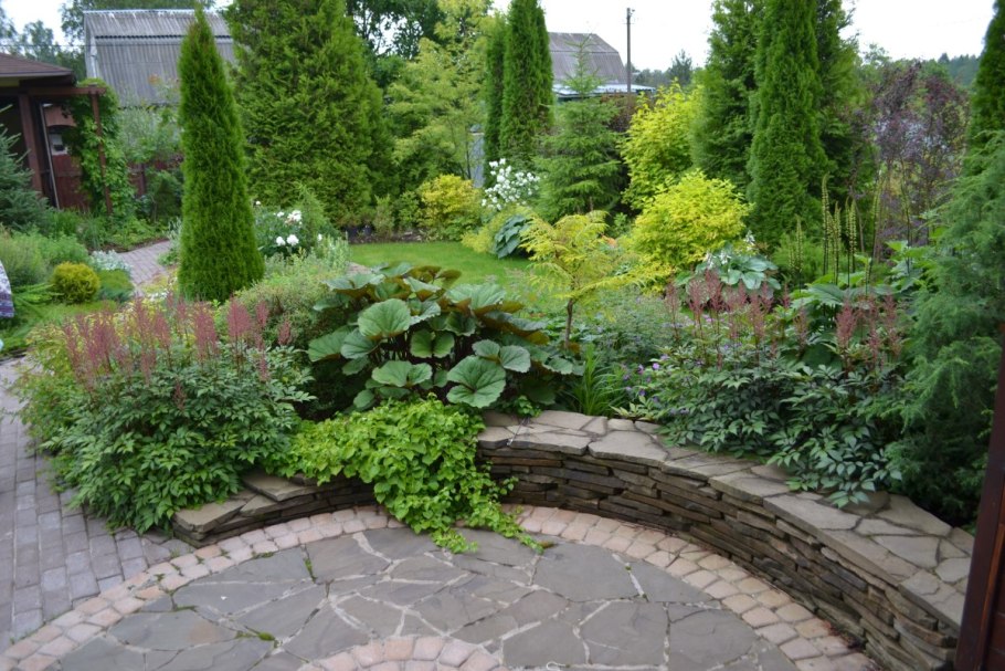 Миксбордер туя Барбарис