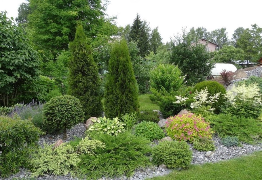 Ель голубая Глобоза