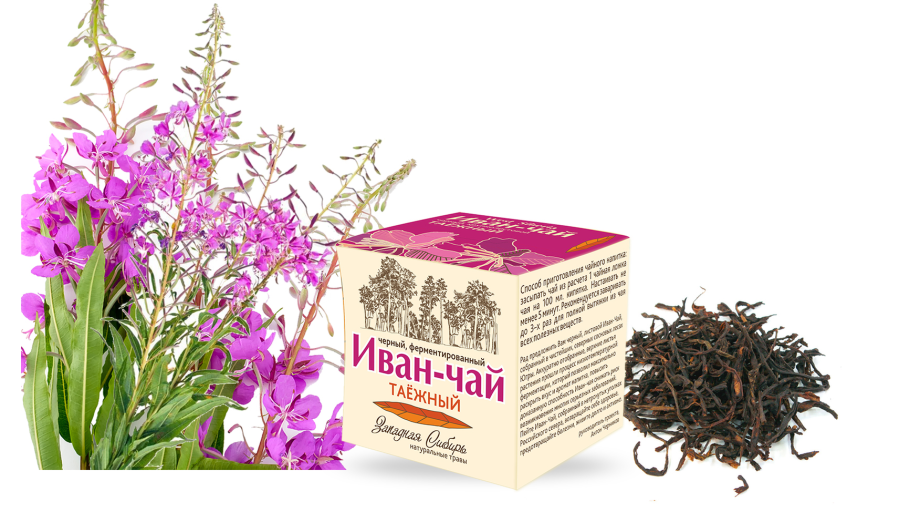 Кипрей узколистный ферментированный