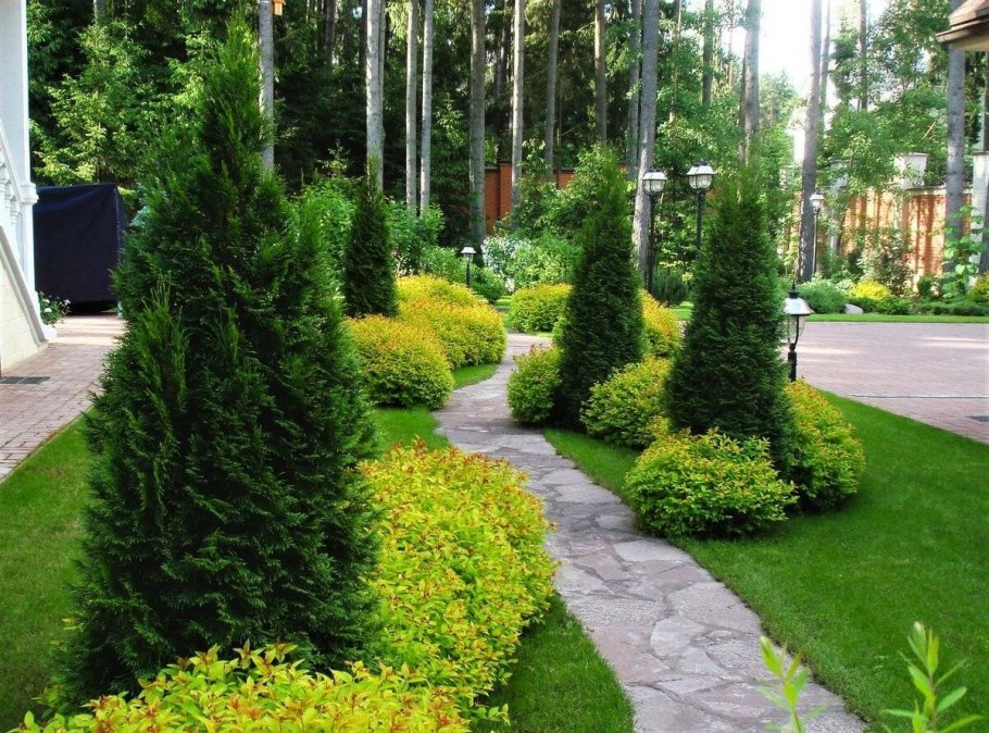 Миксбордер туя гортензия Барбарис можжевельник