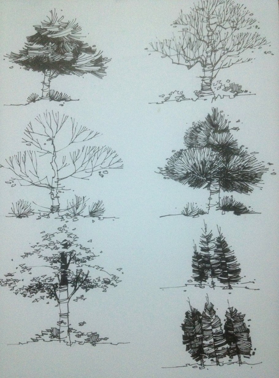 Схема посадки хвойников с кустарниками