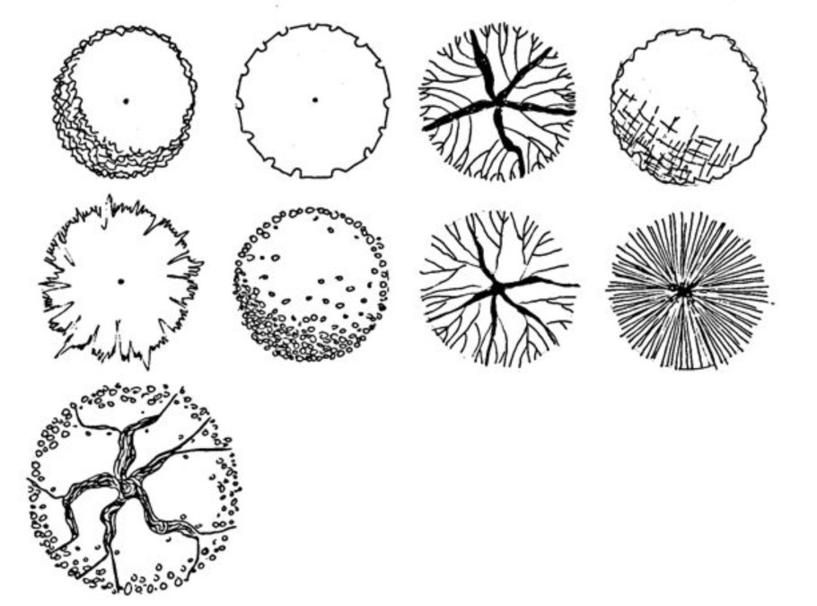 Силуэты деревьев и кустарников зимой