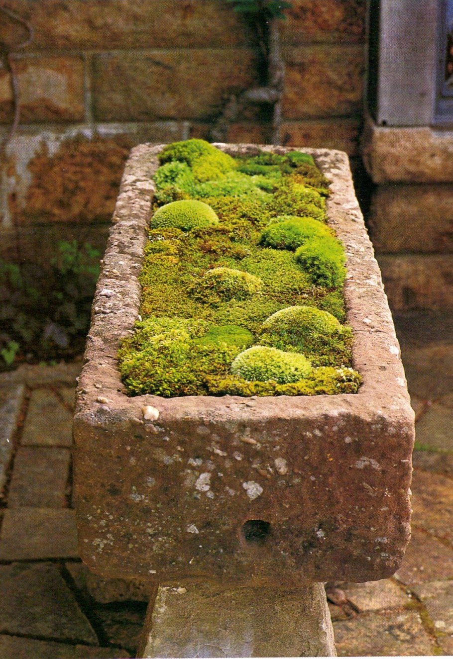 Камни из мха