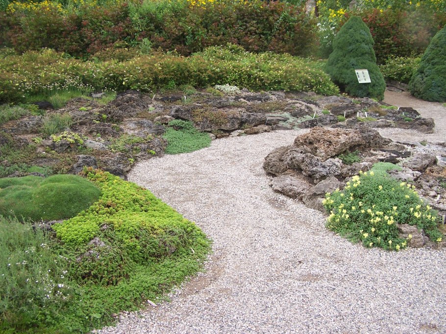 Альпийский мох Мшанка