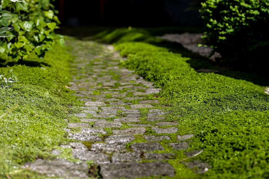 Дорожка из камня с травой