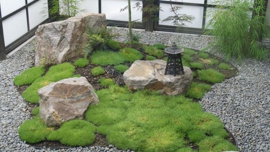 Мох на клумбе