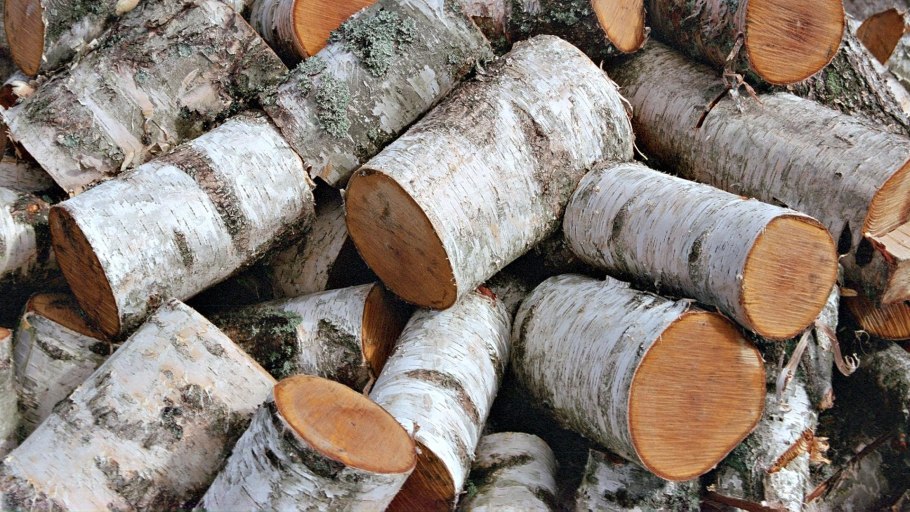 Доска кругляк