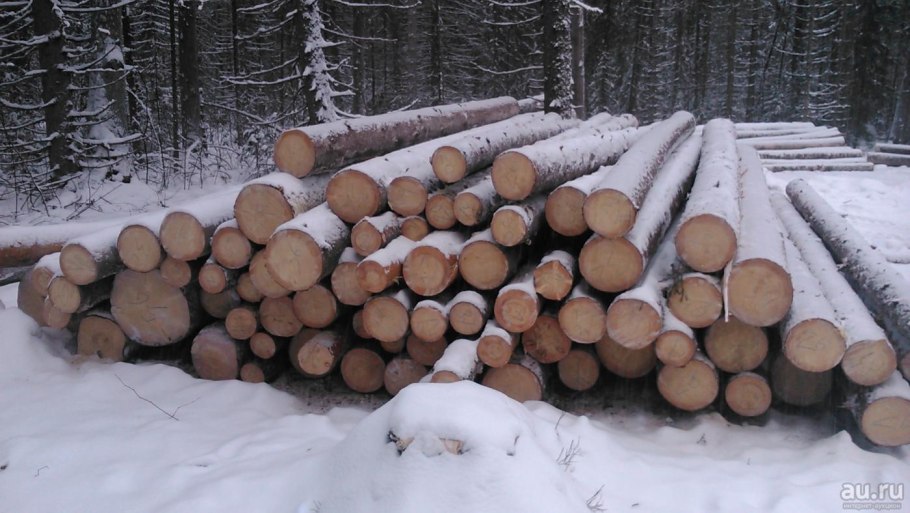 Лес кругляк Пиловочник
