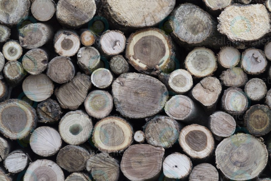 Вяз листоватый кора