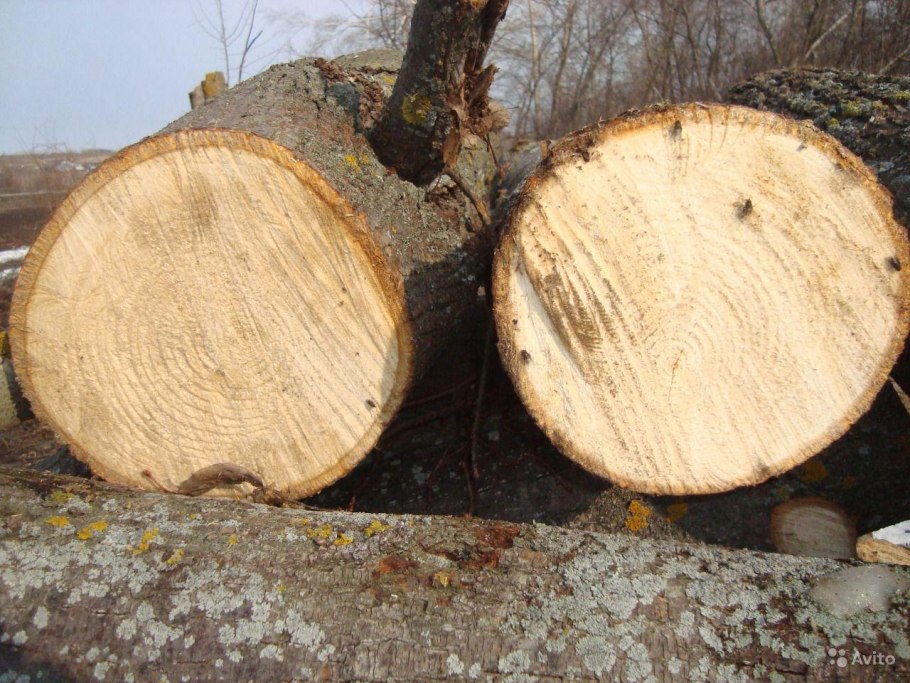Распил кругляка на доски
