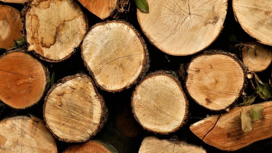 Ольха бревно