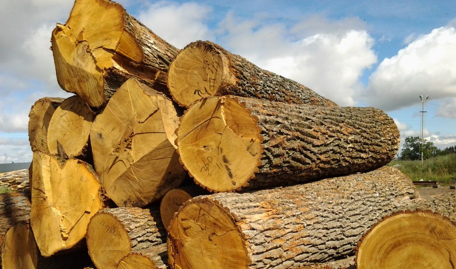 Закупаю лес на дрова