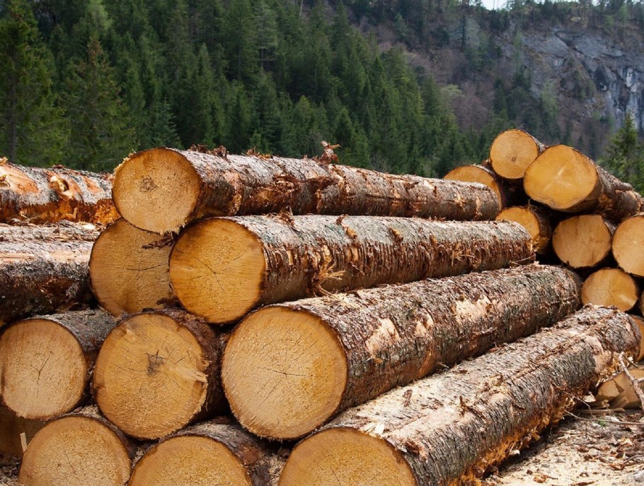 Лесопилка в Канске