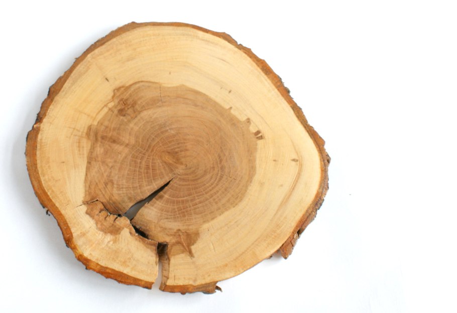 Фанкряж березовый