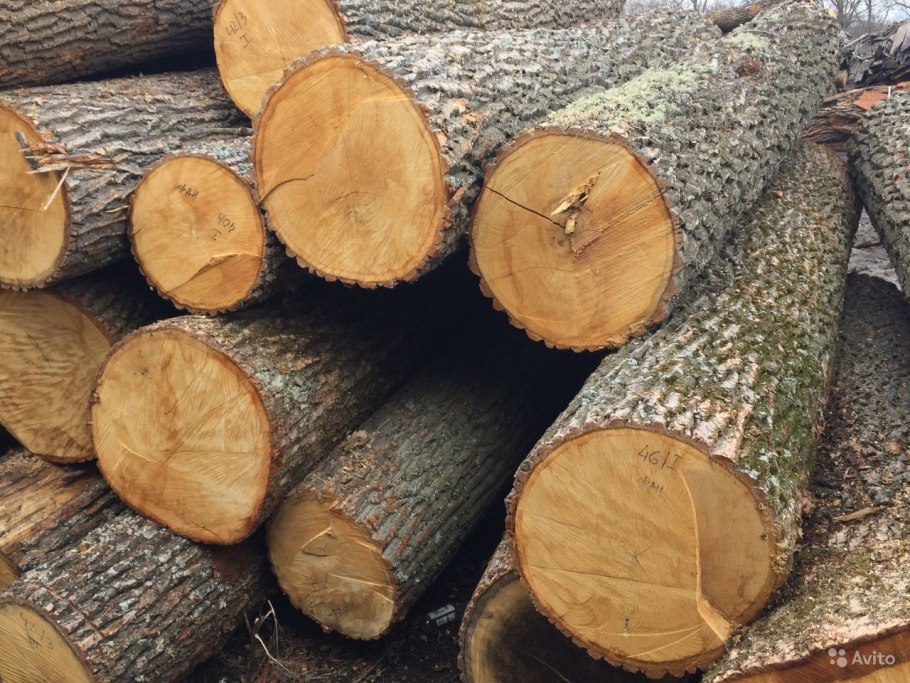 Кулахи древесина