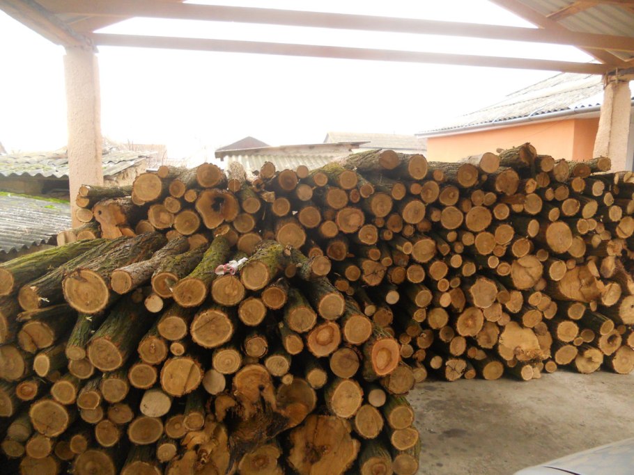 Береза фанкряж