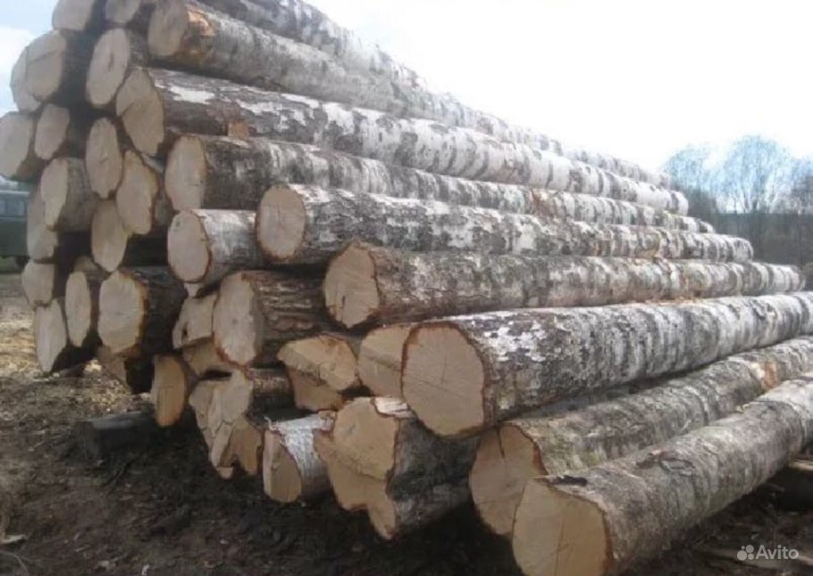 Спил дерева текстура