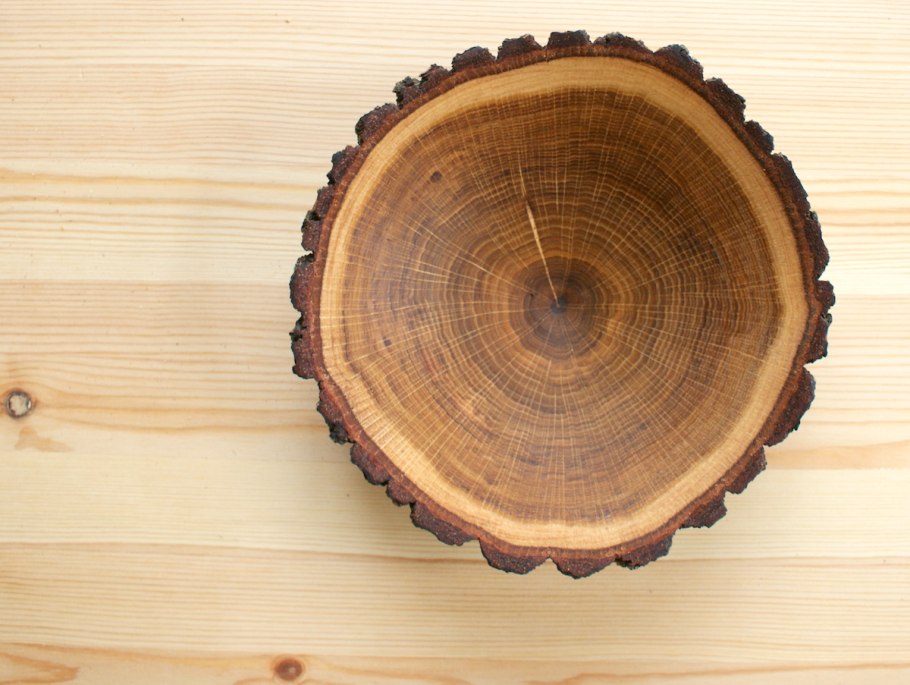 Пихта Сибирская кора