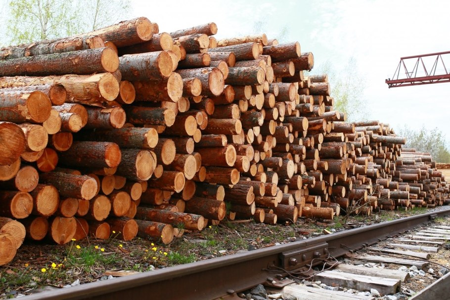 Круглые лесоматериалы