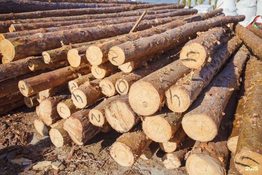 Дубовое бревно