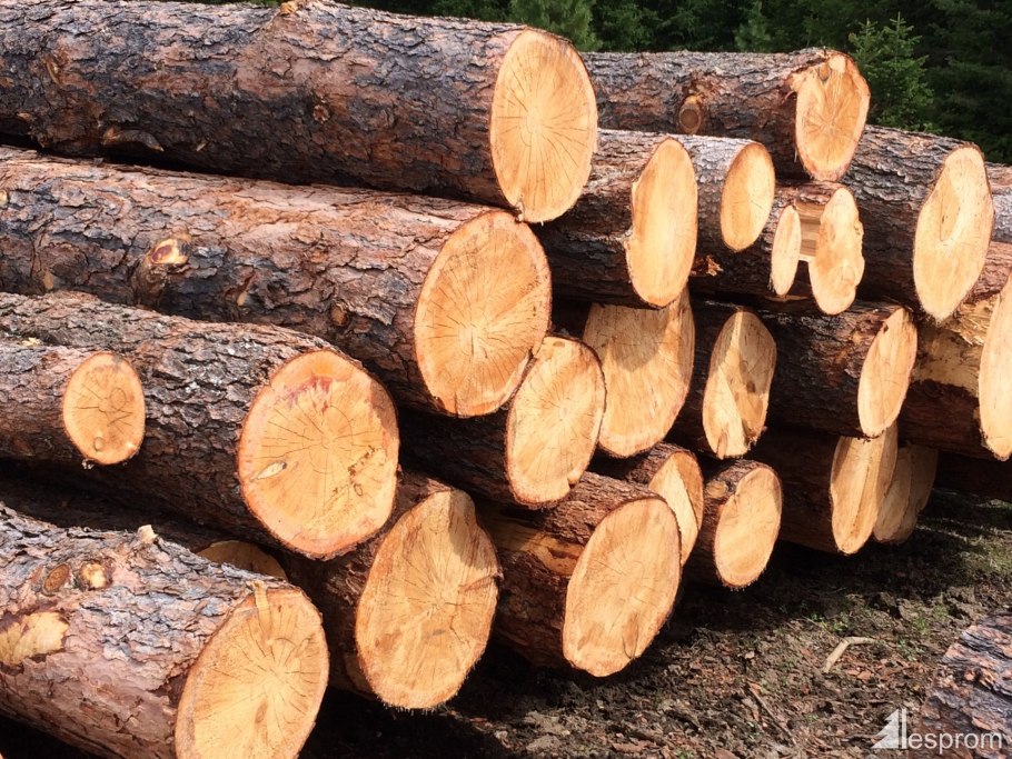 Древесина на белом фоне