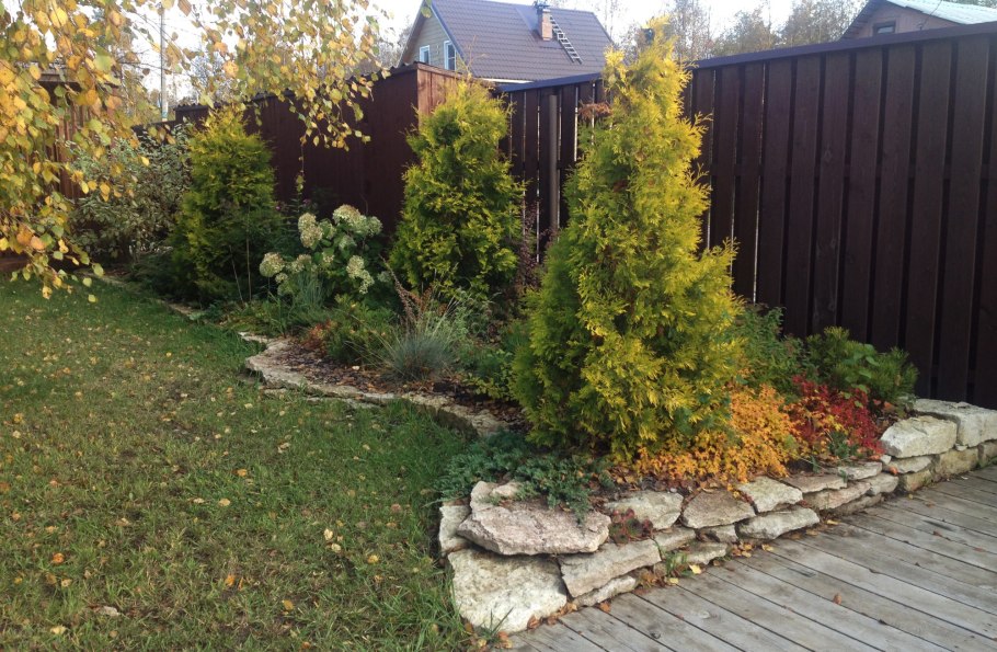 Миксбордер с туей Голден Смарагд