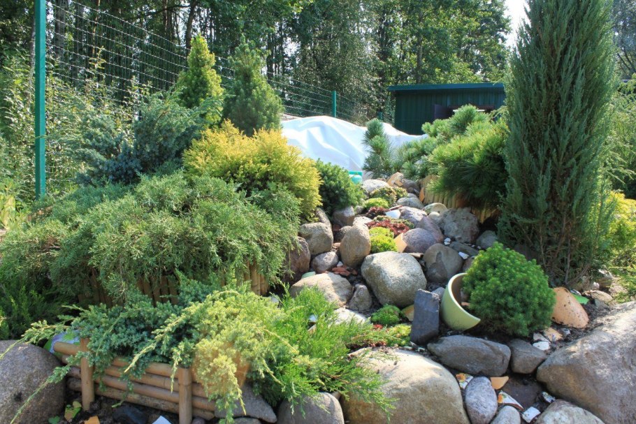 Ландшафт Хоста можжевельник горка