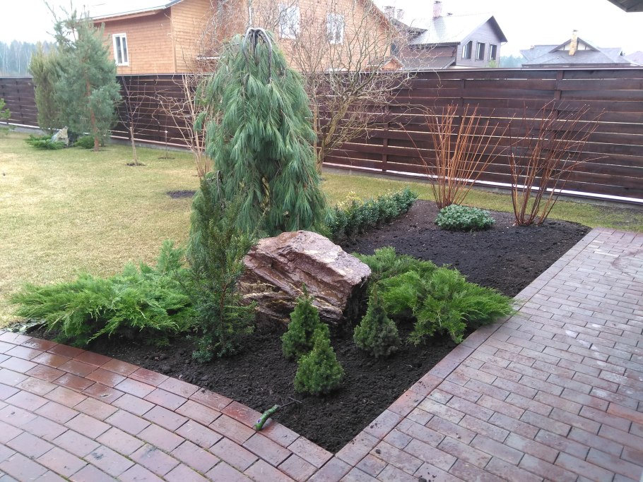 Клумба хвойники туя можжевельник