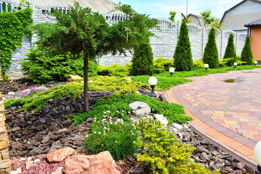 Туя в рокарии