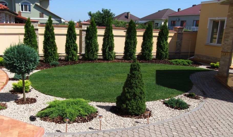 Туя Смарагд в ландшафте