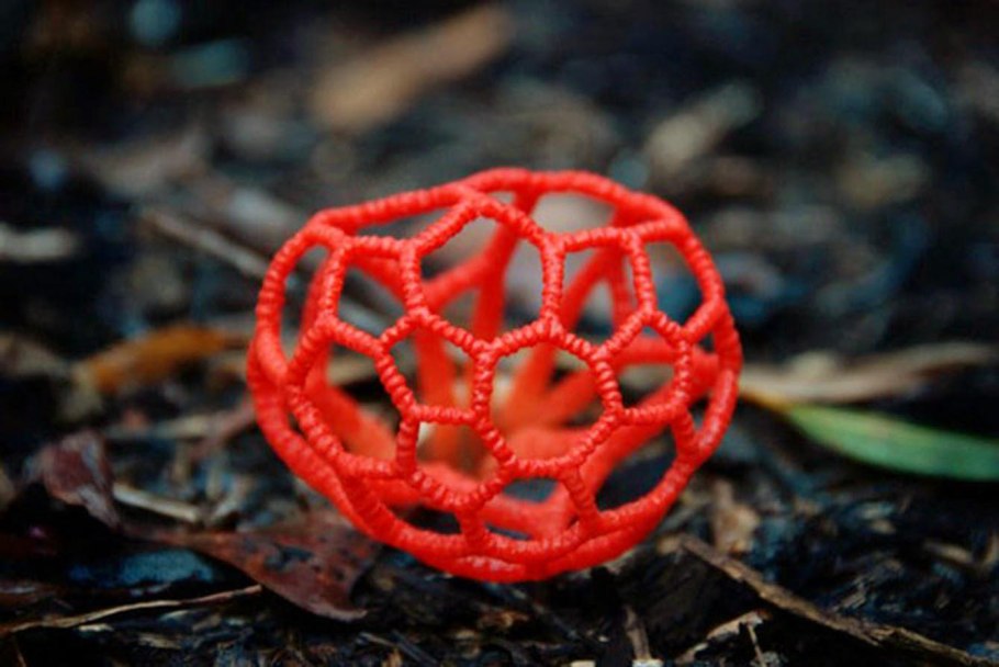 Решеточник красный (Clathrus ruber)