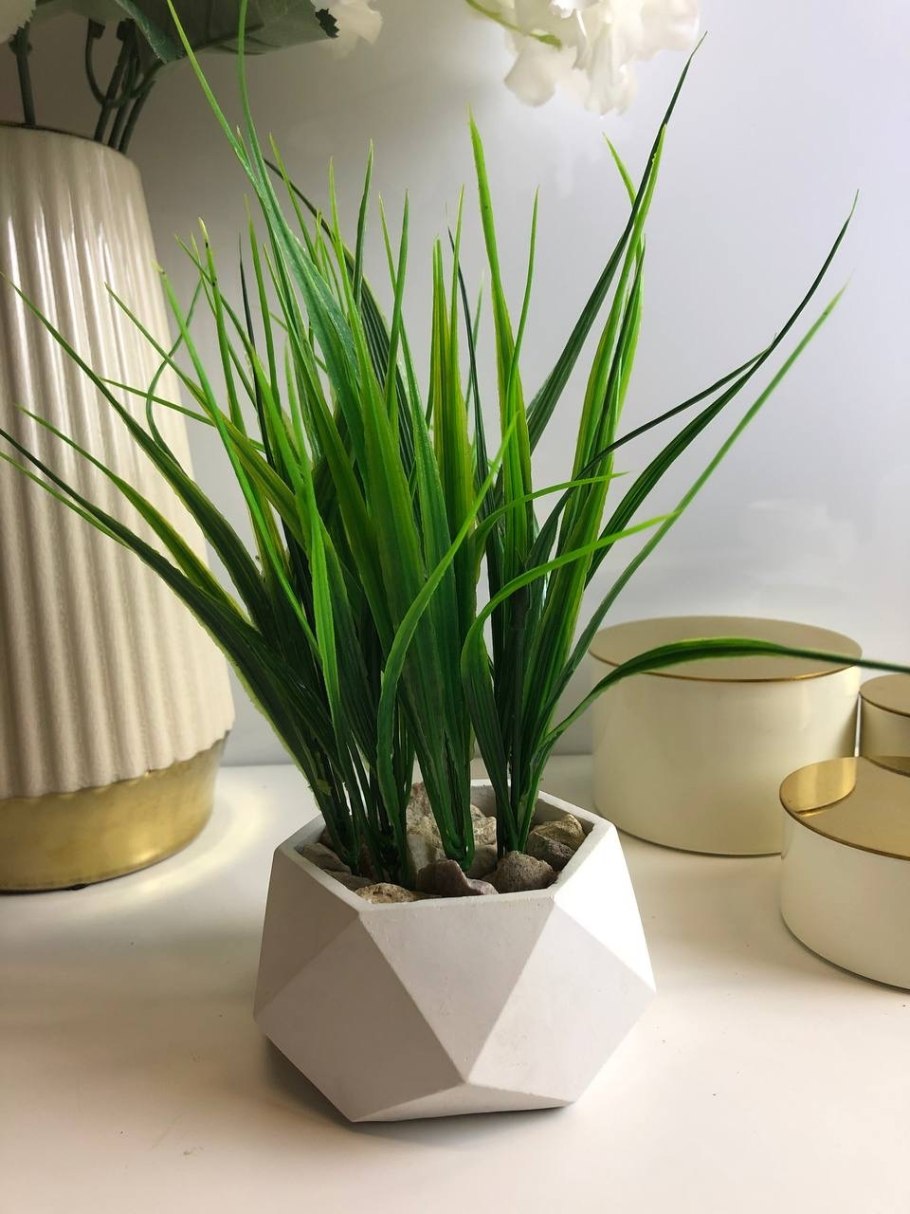 Осока Вариегата