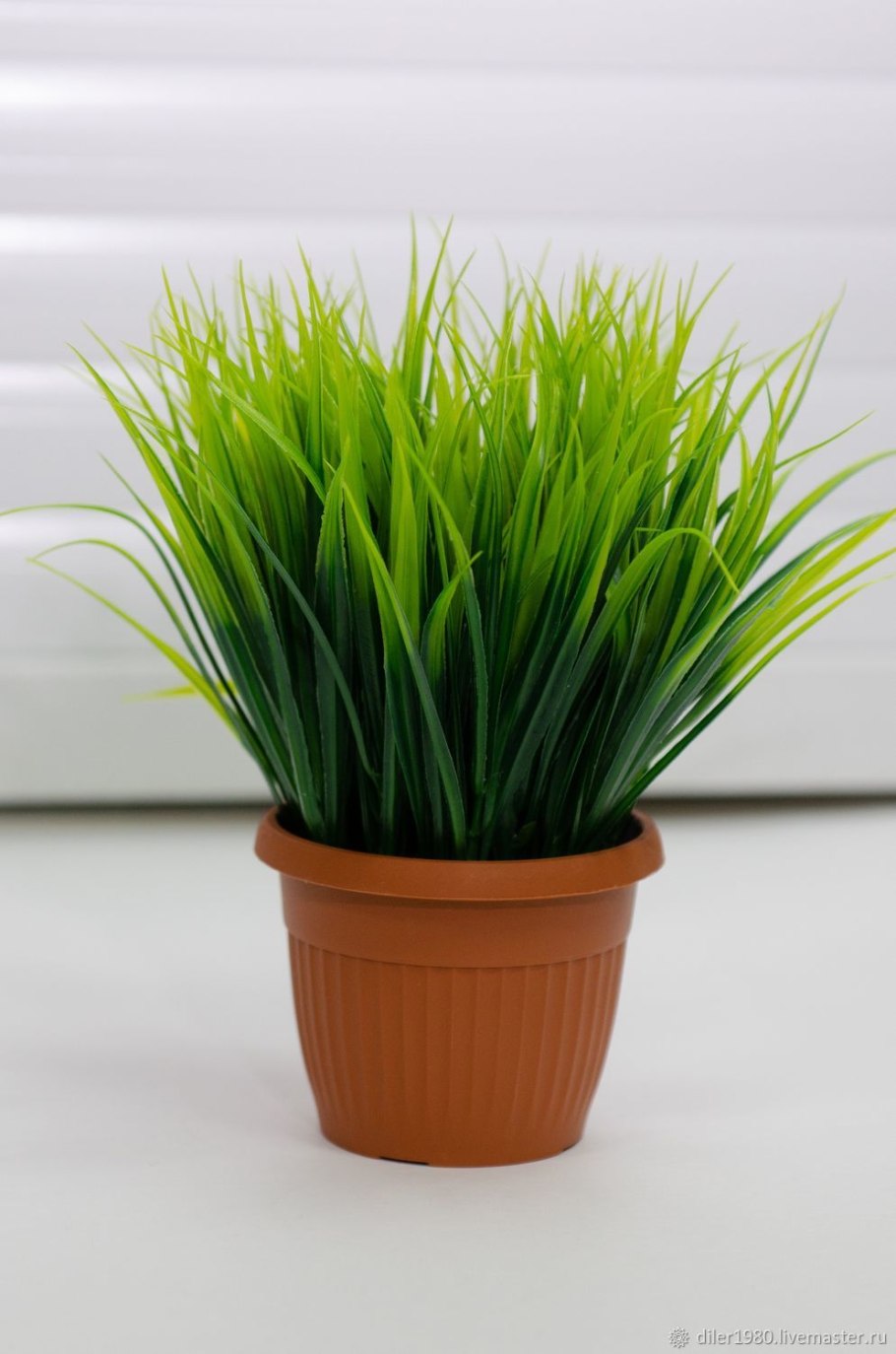 Осока трава