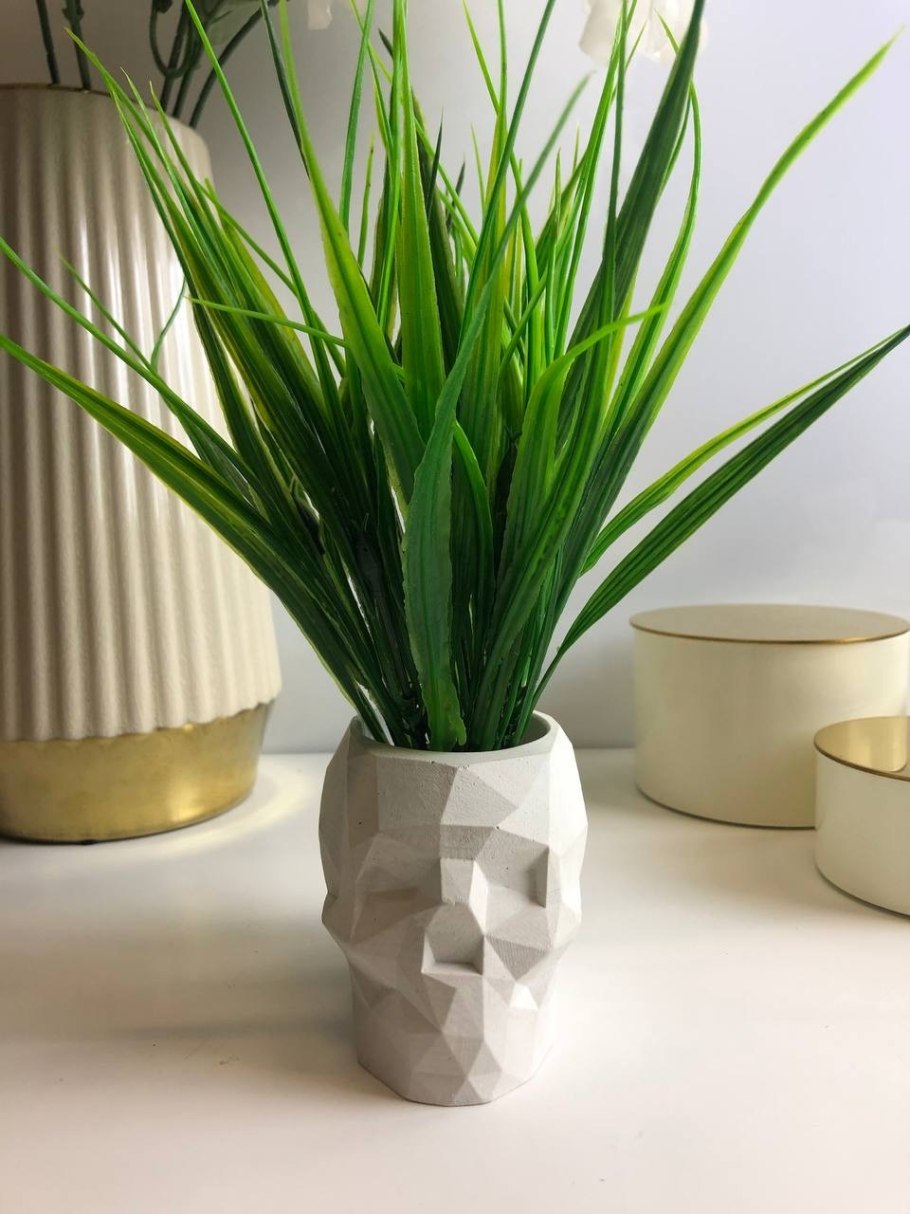 Осока декоративная в горшке