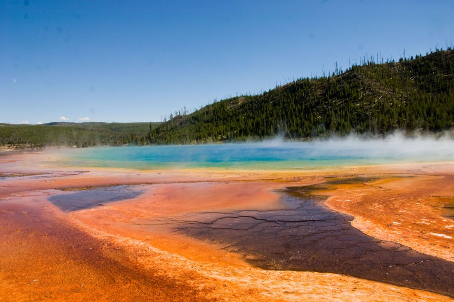 Йеллоустонский национальный парк фауна