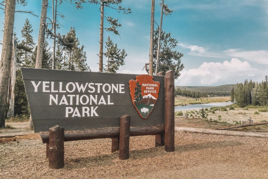 Национальный парк Йеллоустоун животные