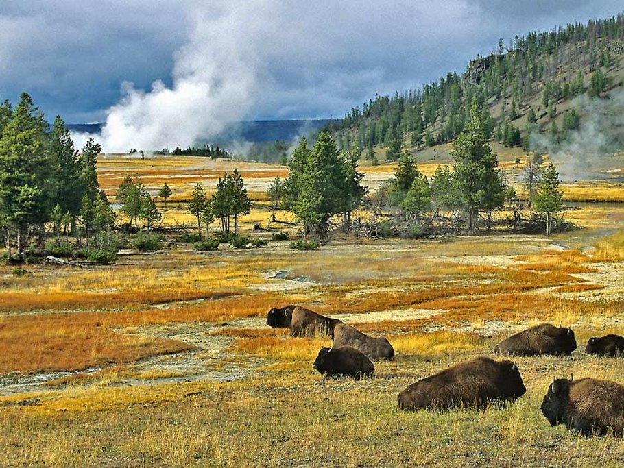 Йеллоустонский парк ЮНЕСКО