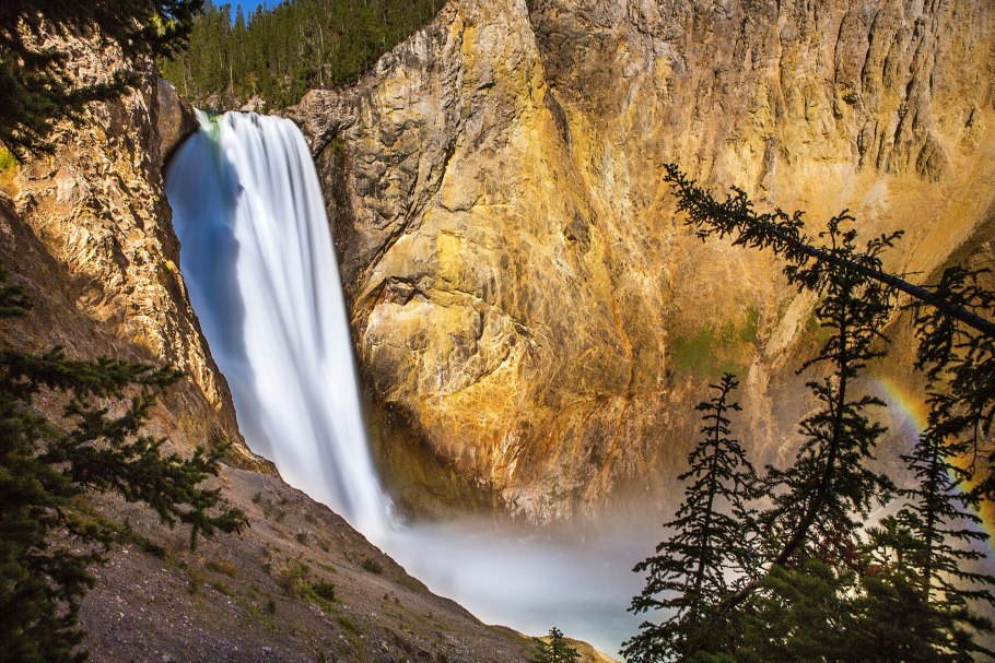 Йеллоустонский национальный парк фауна