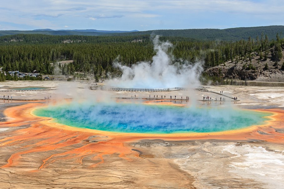 Национальный парк Йеллоустоун фауна