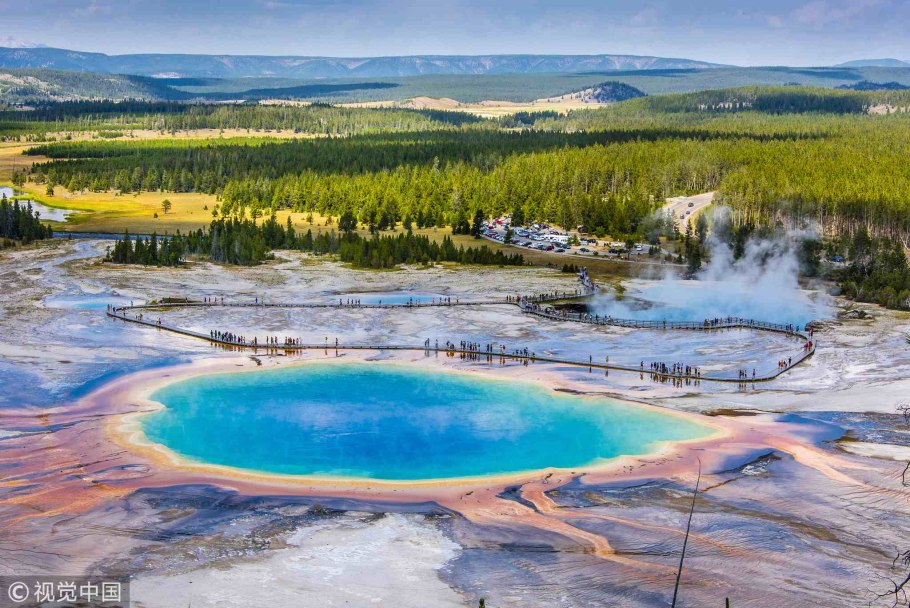 Йеллоустоун цветок