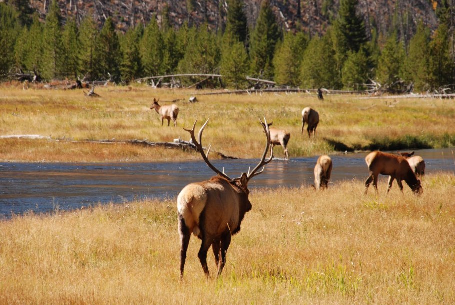 Инфраструктура а Йеллоустонском парке