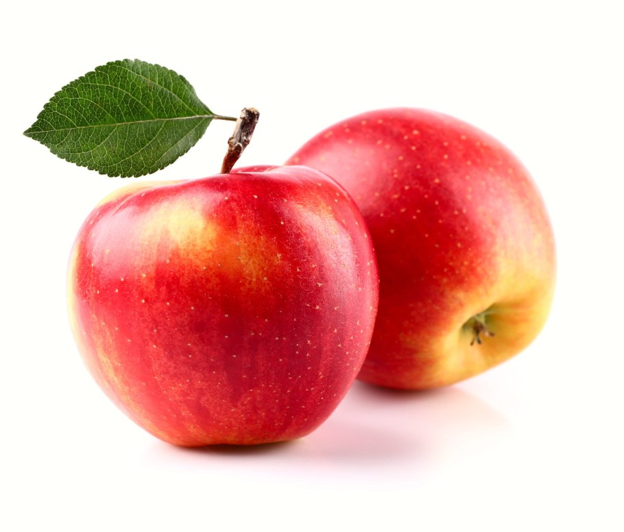 Протухшее яблоко на дереве