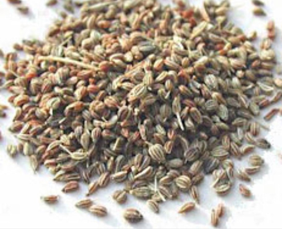 Семя ажгон тимьян