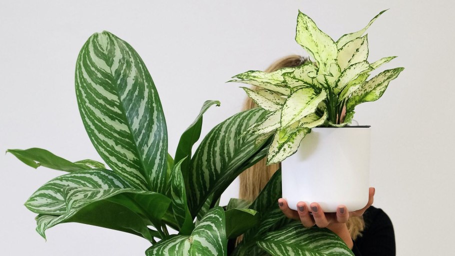 Леруа искусственные цветы в горшках