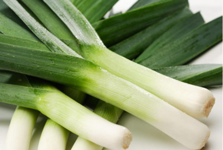 Лук порей рассада
