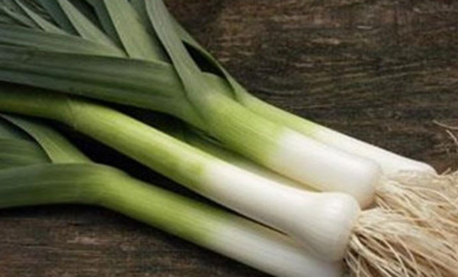 Лук порей камус