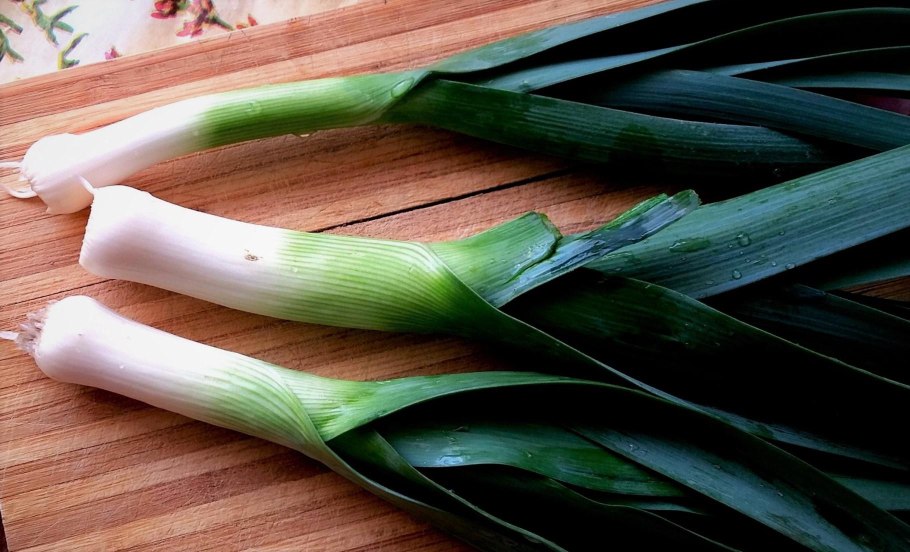 Лук порей стебель