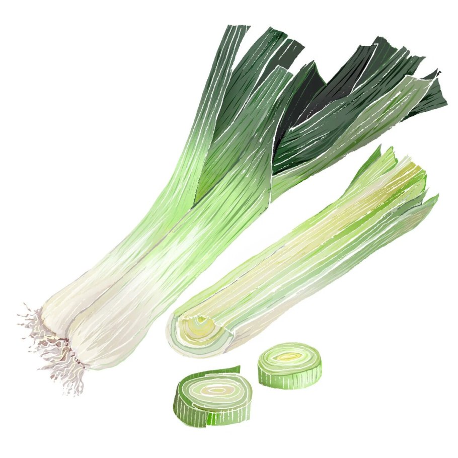 Луковые Однодольные растения