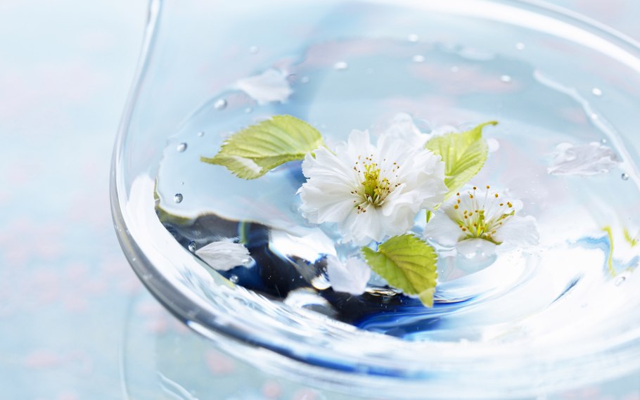 Цветы на воде